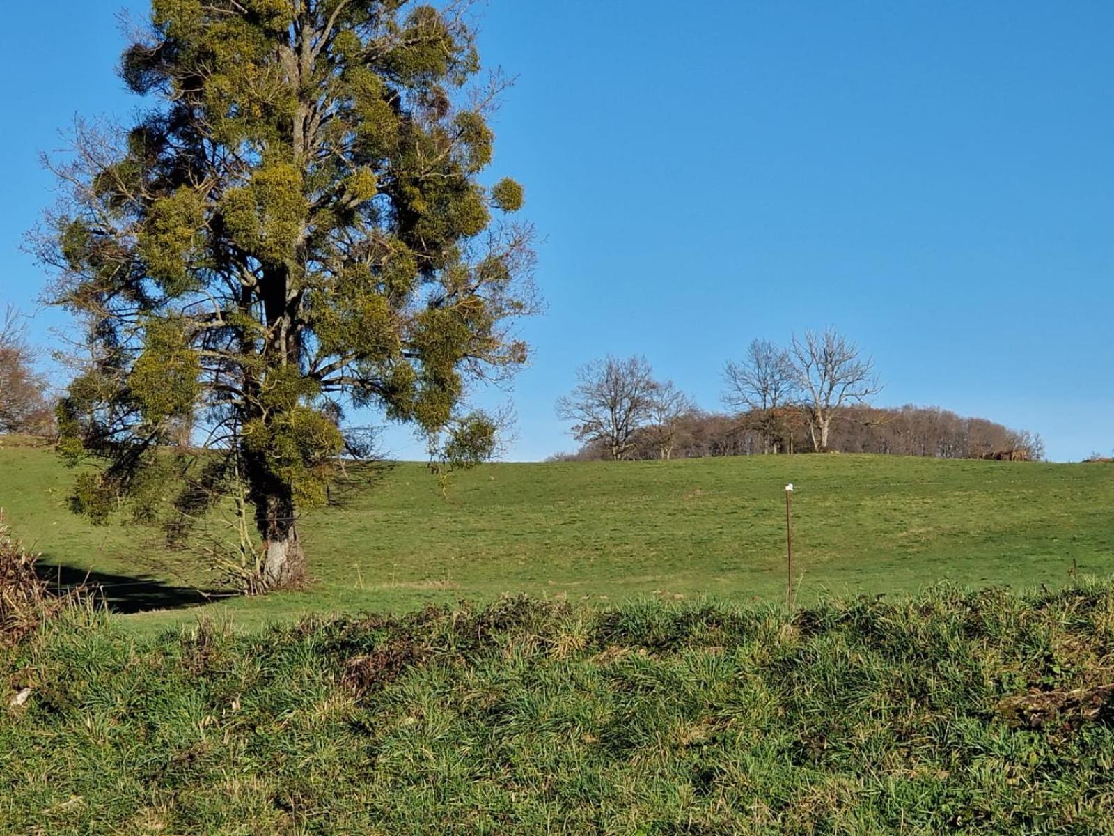 Vila La Campagne Dontreix Exteriér fotografie